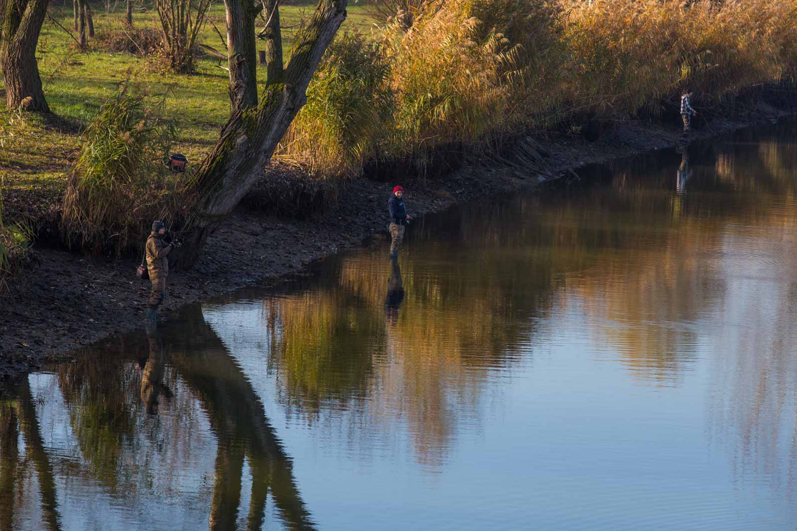 Fotó: Babák Zoltán