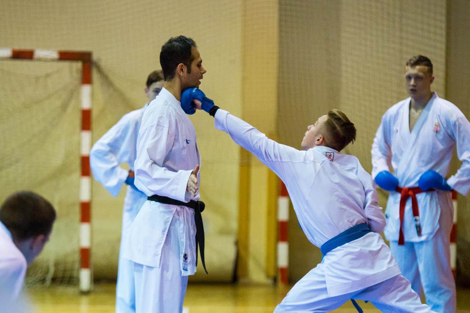 Fotó: Babák Zoltán