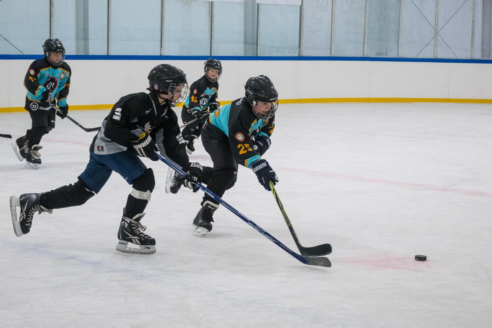 Fotó: Babák Zoltán