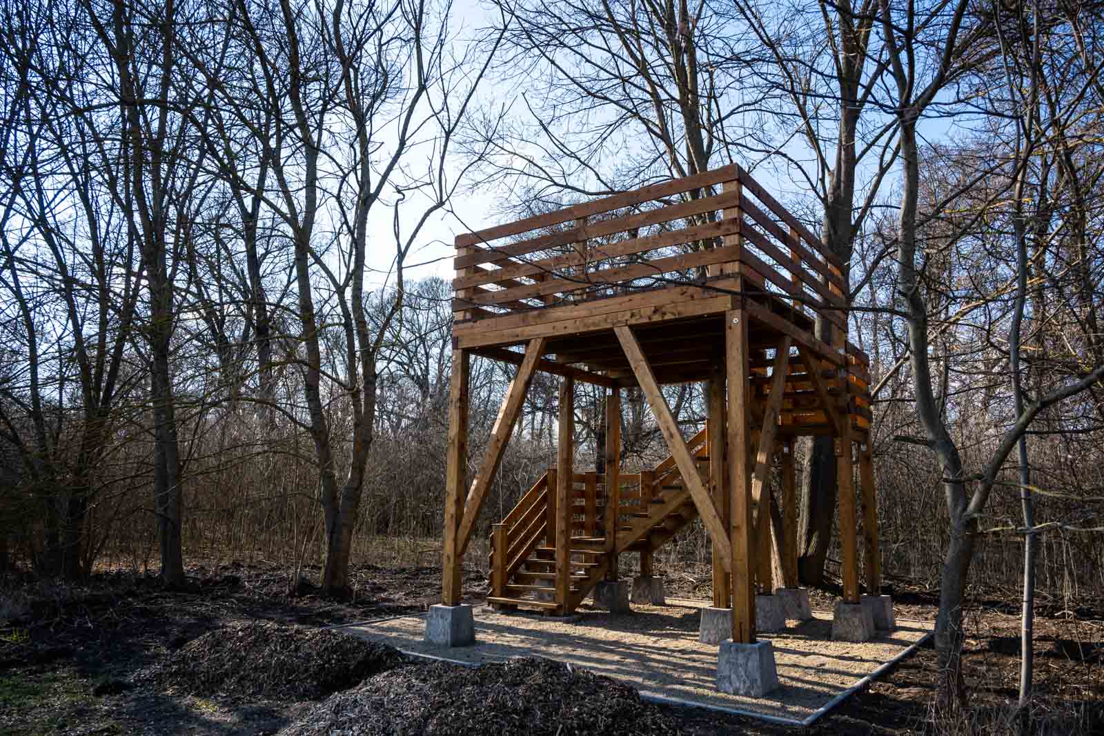 Az új lombkorona-terasz (Fotó: Babák Zoltán)