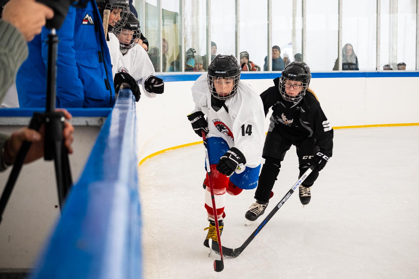 Fotó: Babák Zoltán