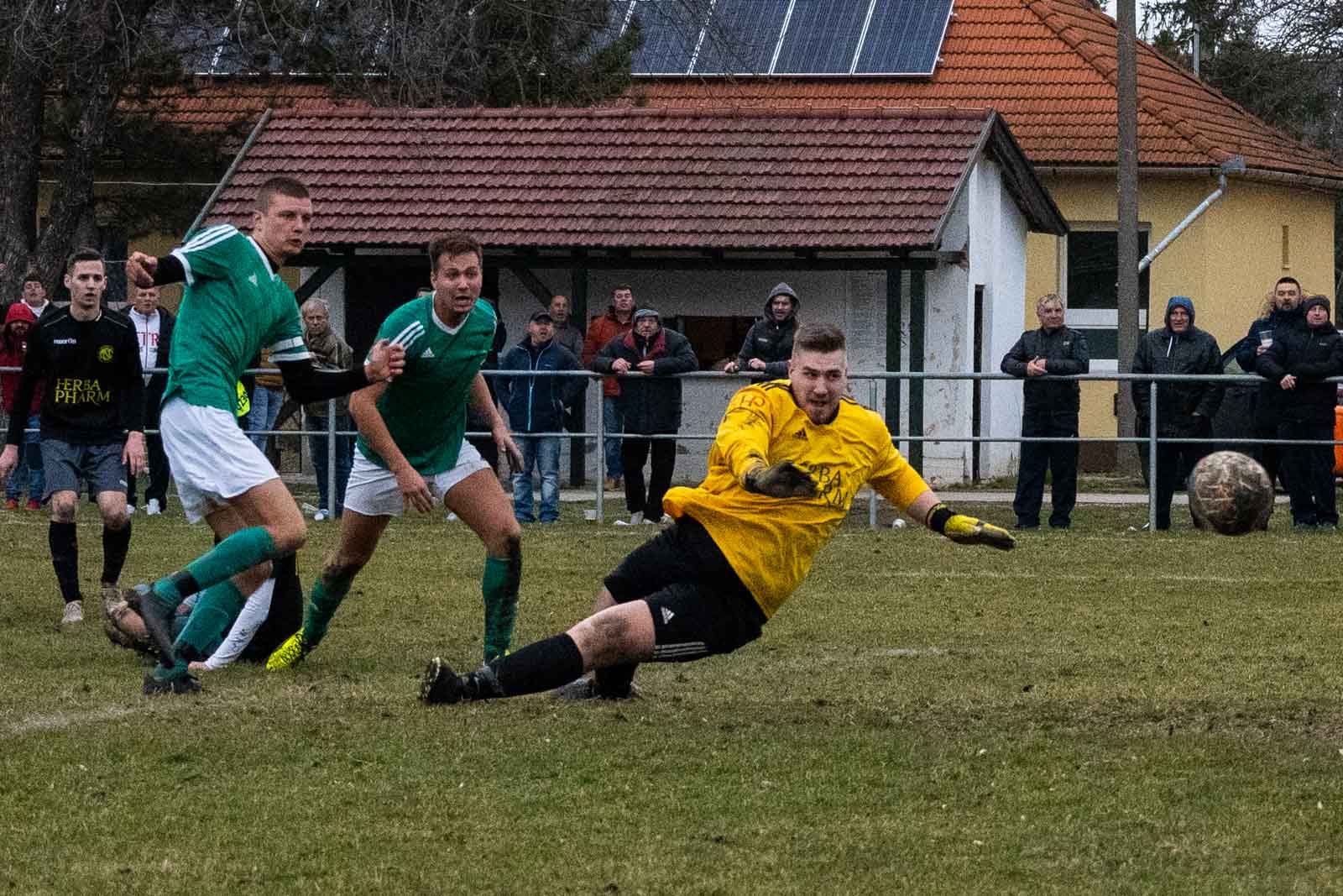 Fotó: Babák Zoltán