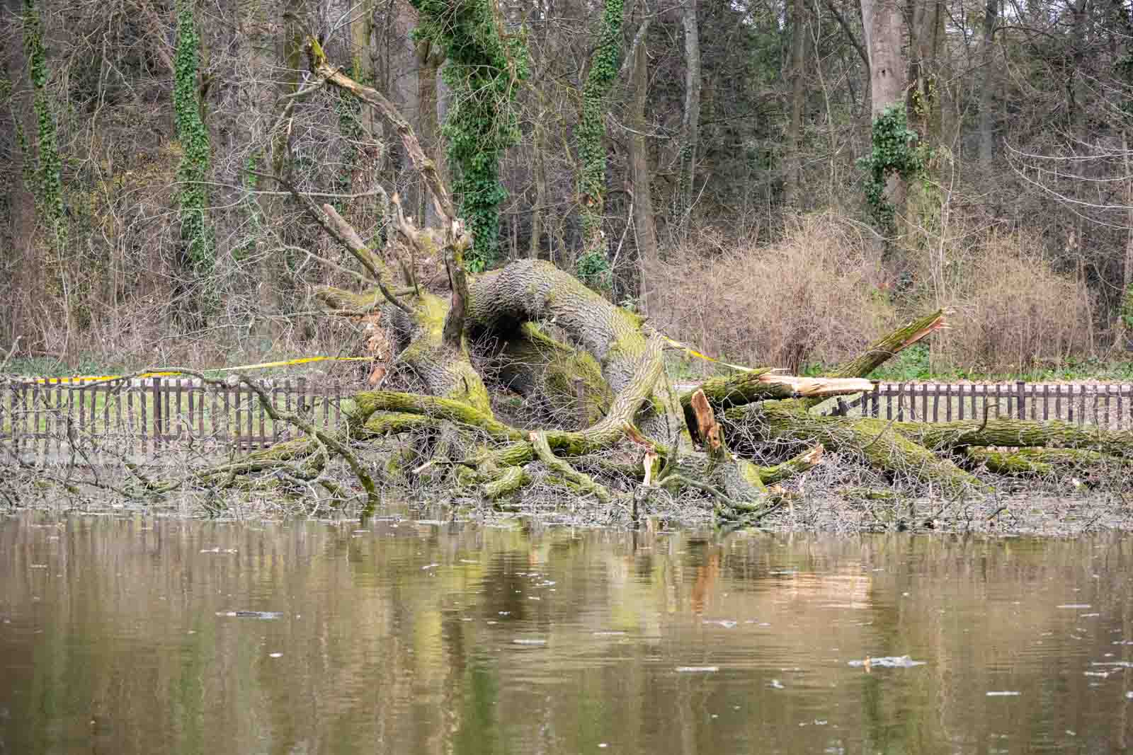 Fotó: Babák Zoltán