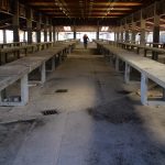 Fotó: Hegedűs Éva