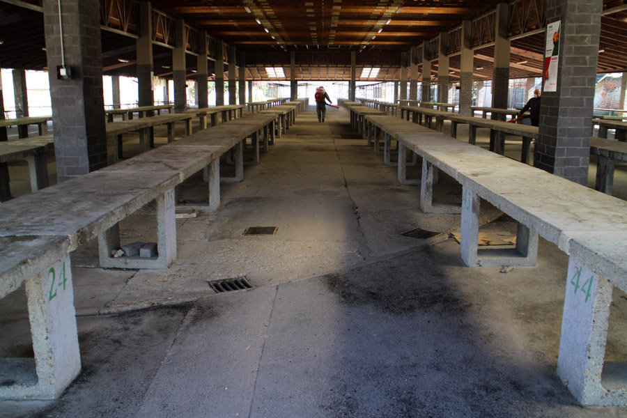 Fotó: Hegedűs Éva