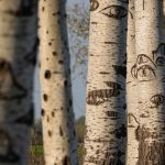 Fotó: Babák Zoltán