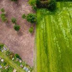 A tél folyamán rendberakott, illetve a művelés alá hajtott rész az Evangélikus Ótemetőben (Fotó: Babák Zoltán)