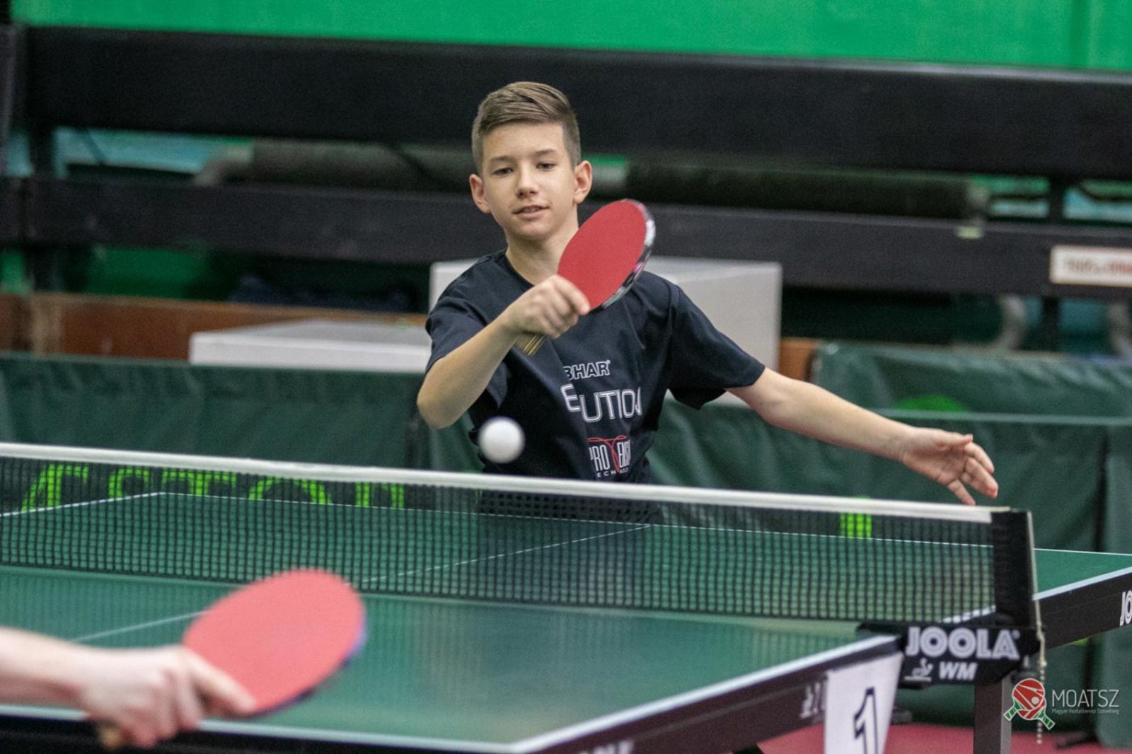 Szántosi Dávid (Forrás: Benka)