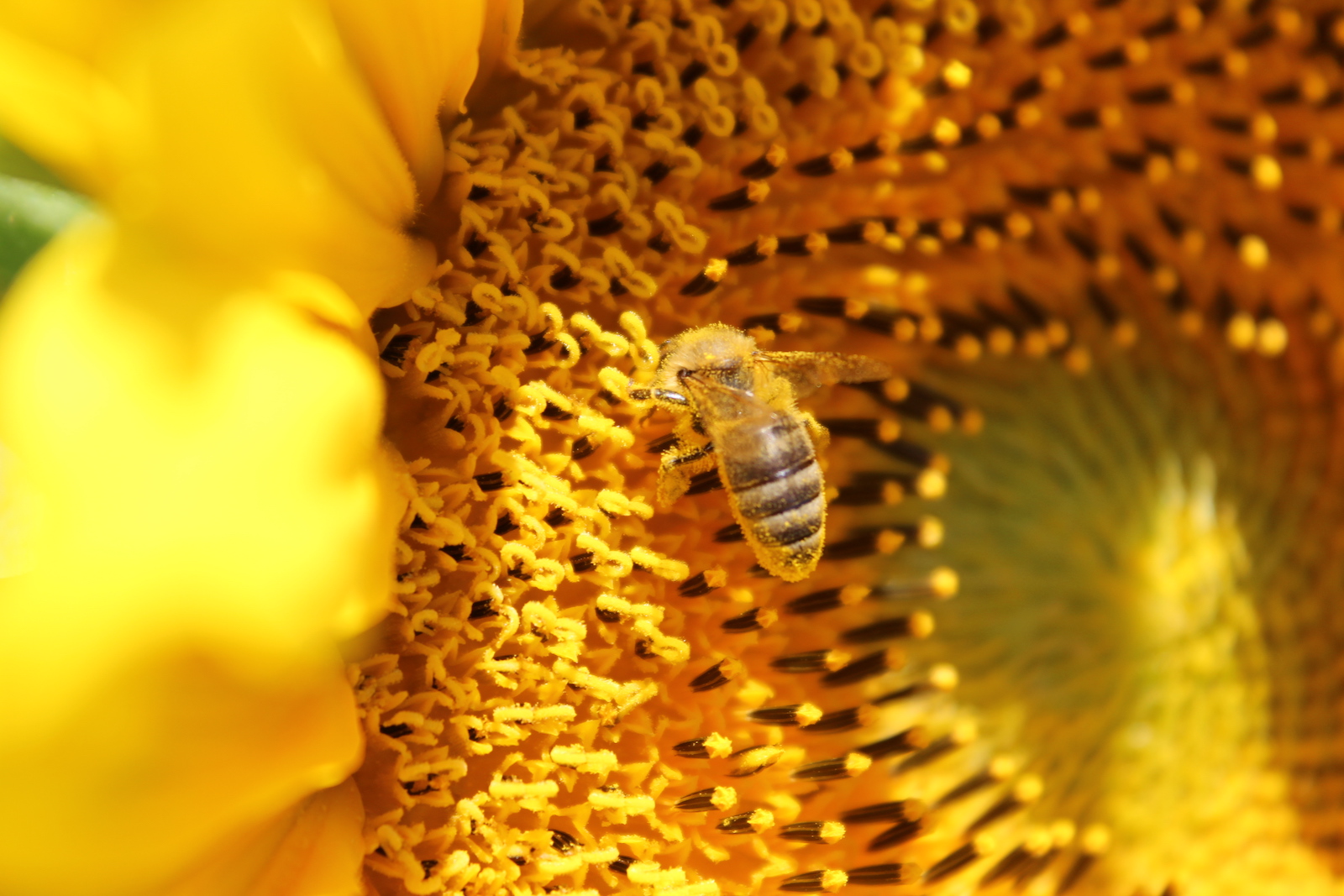 Fotó: Vámosi Gergő