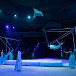 A fotót a Fővárosi Nagycirkusz bocsátotta rendelkezésünkre