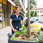 Szécsi Hajnalka, a tündérkertek megálmodója (Fotó: Babák Zoltán)