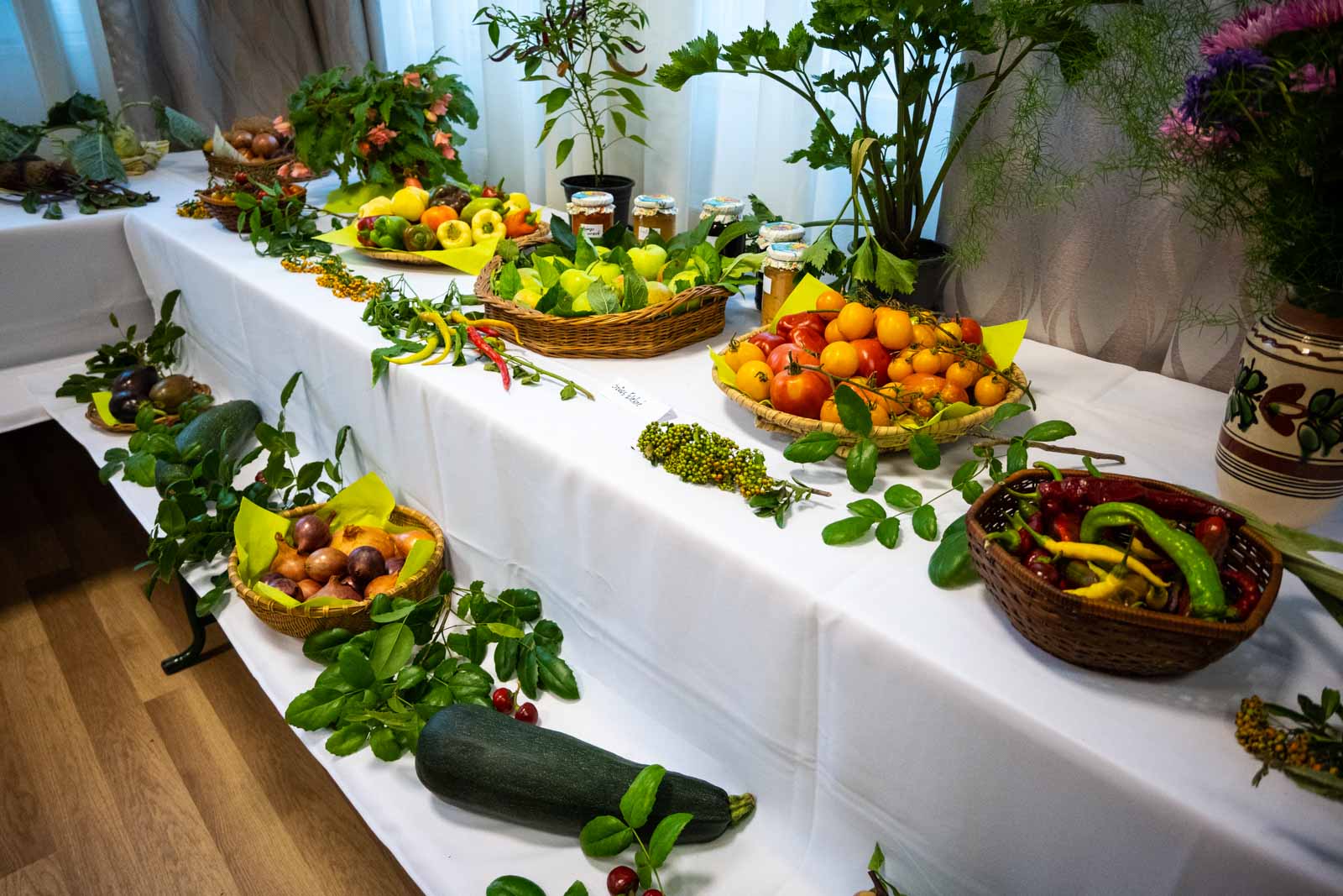 Fotó: Babák Zoltán