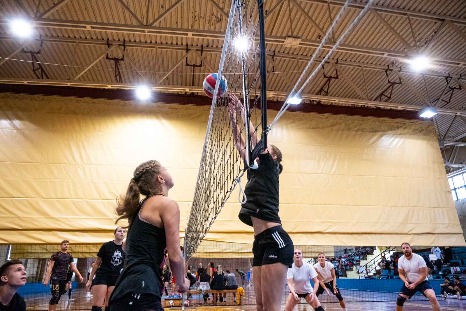 Fotó: Babák Zoltán