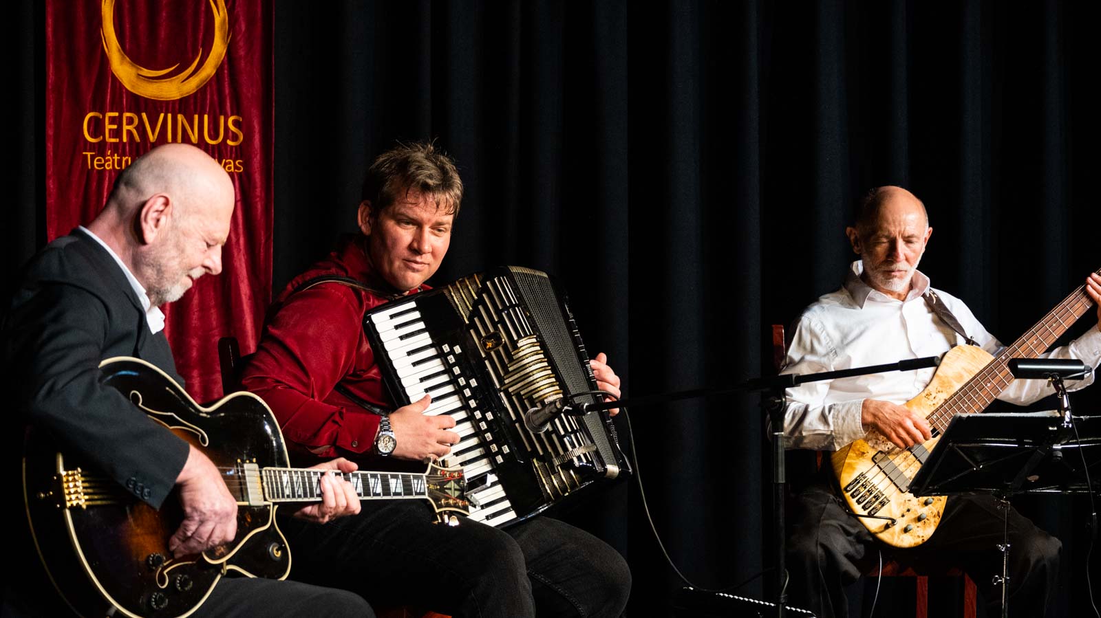 A Molnár Trió (Fotó: Babák Zoltán)