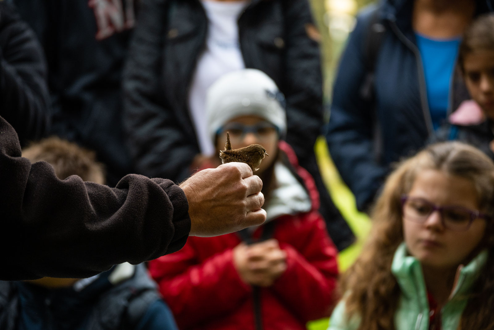 Fotó: Babák Zoltán