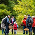 Fotó: Babák Zoltán