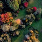 Fotó: Babák Zoltán