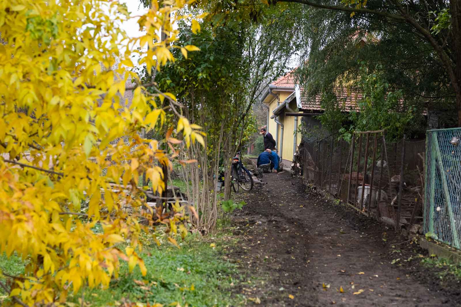 Fotó: Babák Zoltán
