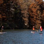 Fotó: Babák Zoltán