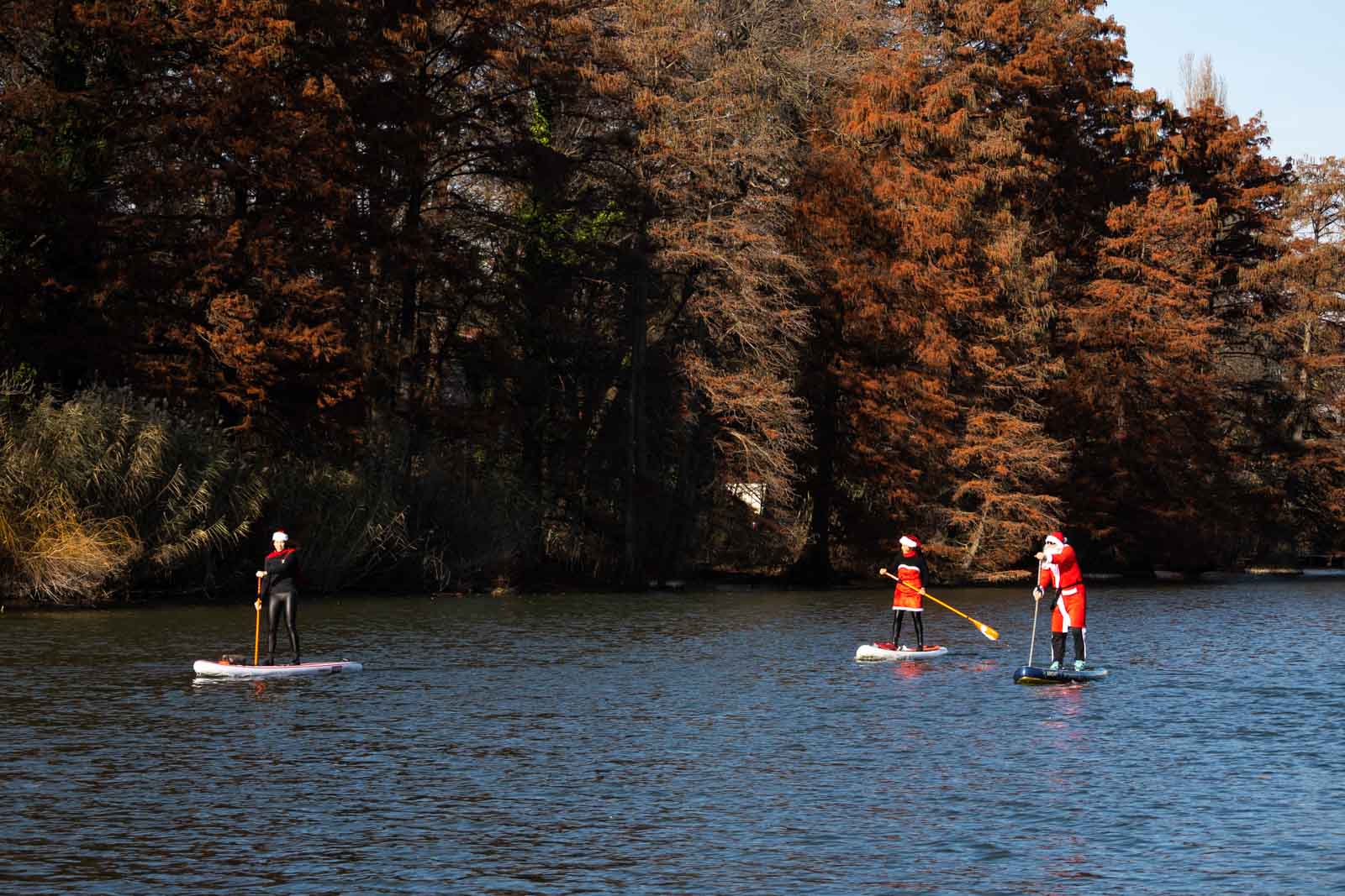 Fotó: Babák Zoltán