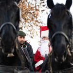 Fotó: Babák Zoltán