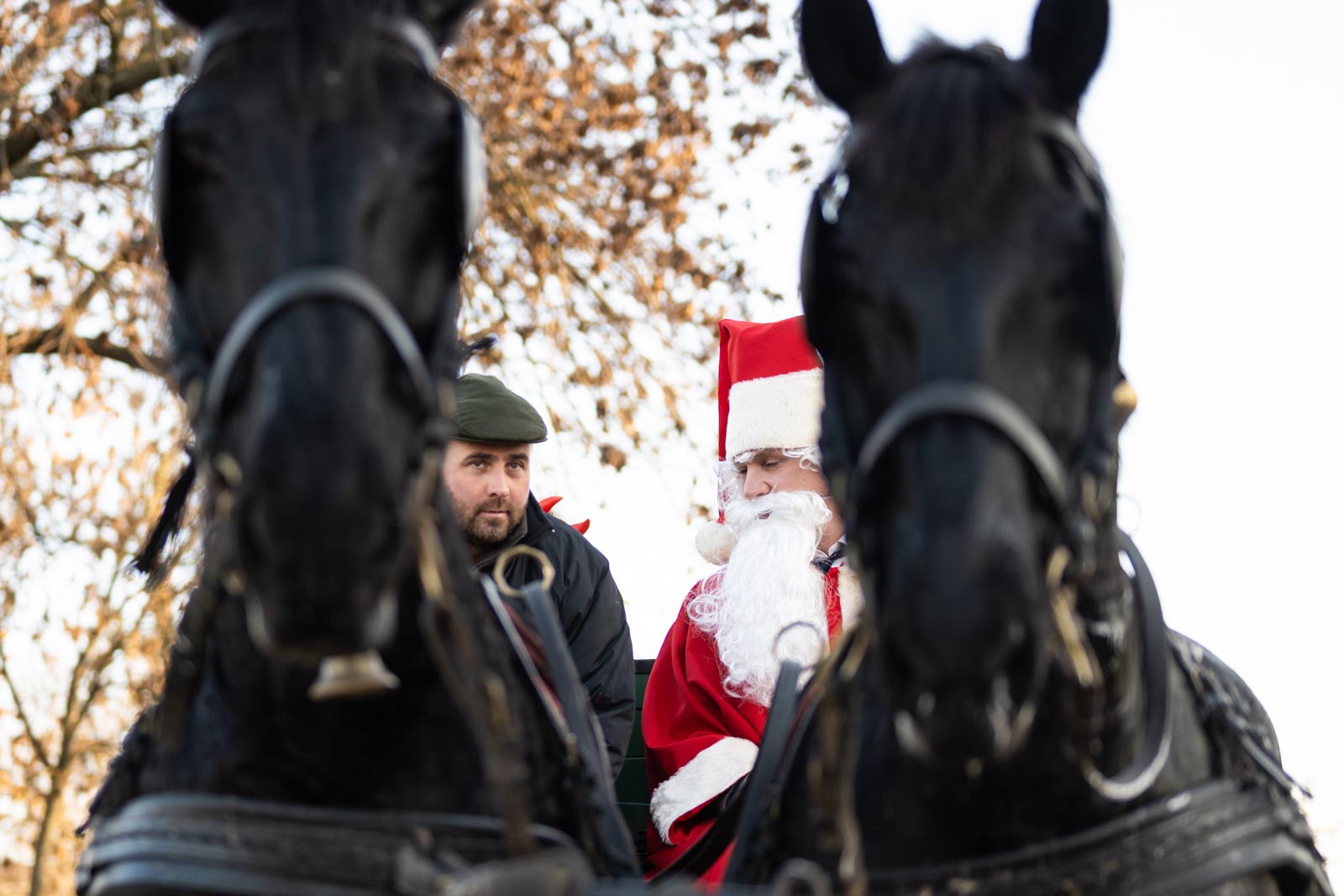 Fotó: Babák Zoltán