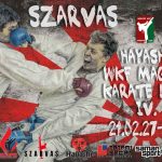 A Karate Liga plakátja