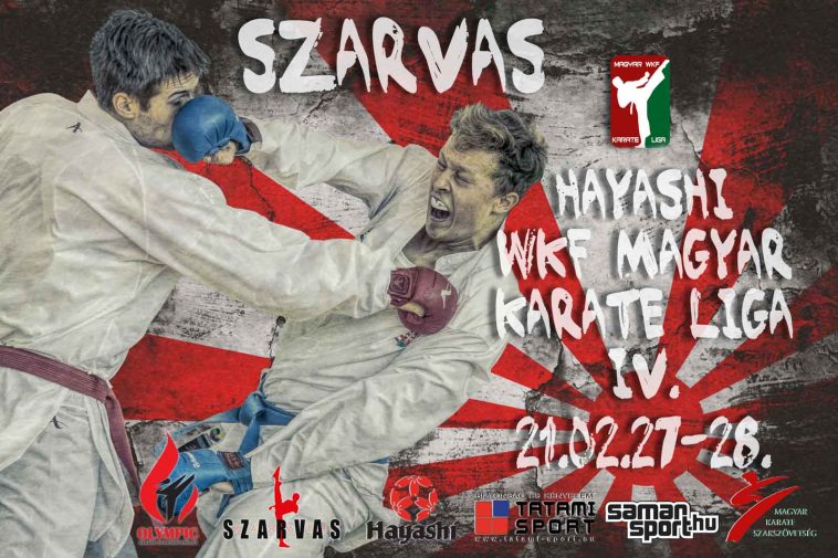 A Karate Liga plakátja