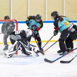 Bánfi Péter hárít a Csabai Farkasok lányai ellen