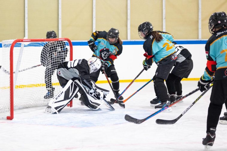 Bánfi Péter hárít a Csabai Farkasok lányai ellen
