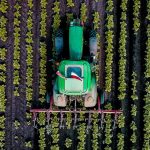 Mezőgazdaság felülről (Fotó: Fabó Balázs)