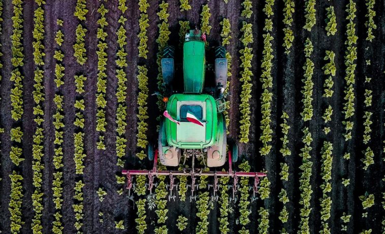 Mezőgazdaság felülről (Fotó: Fabó Balázs)