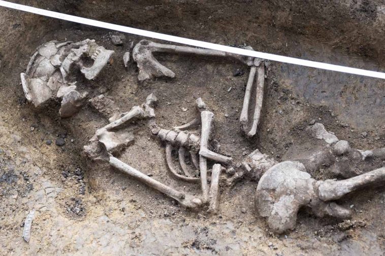 Újabb leletek kerültek felszínre a kerékpárút építésének előzményét jelentő feltárás során