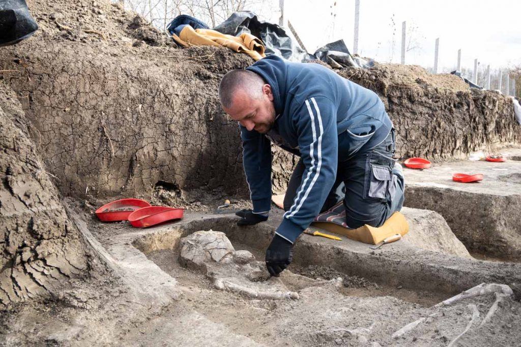 Molnár Zoltán, a Tessedik Sámuel Múzeum munkatársa azt a sírt tárja fel, amiben egyelőre az egyetlen edénytöredéket találták