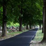 Új aszfaltréteget kapott a csabacsűdi temető belső útja