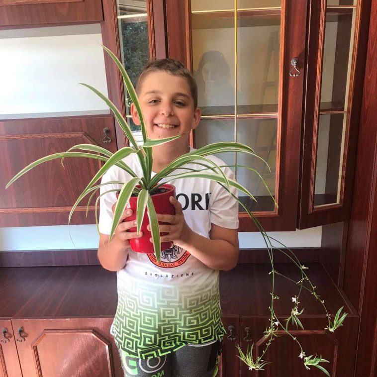 Tusjak Tibor (3.a) a csokros inda kategória egyik győztese