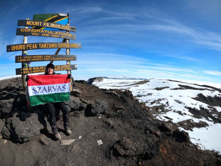 Molnár Ábel a Kibon