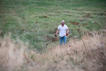 Kaszáló a Gödény-halomnál
