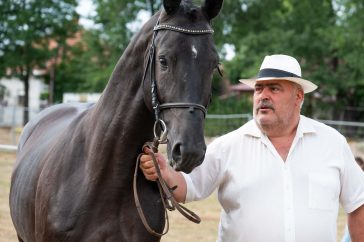 A hároméves csődör és gazdája, Nagy János "Cánó"