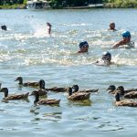 Úszók egymás között a Trianoni Emléktusán