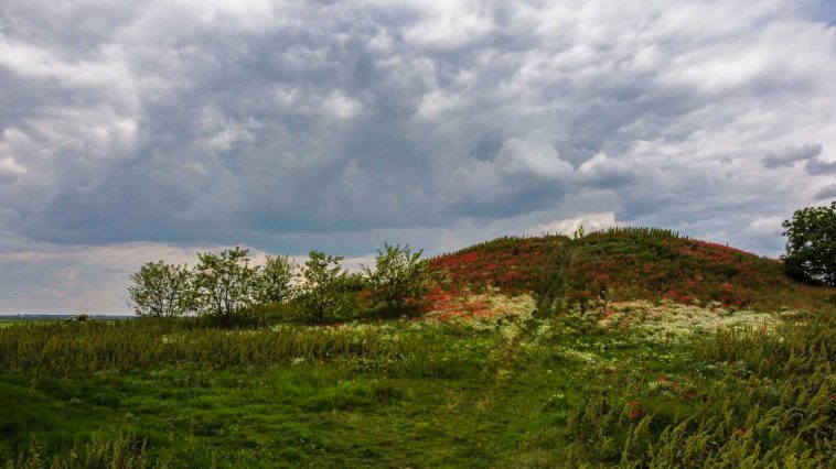 A Gödény-halom pipacsvirágzás idején