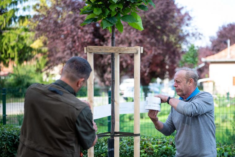 Szrnka Mihály erdőgazdálkodási ágazatvezető és Molnár József