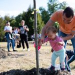 Elültették, megöntözték a babafákat