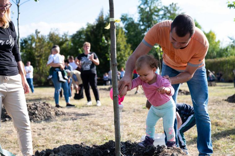 Elültették, megöntözték a babafákat