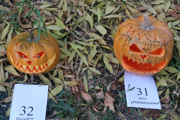 Fotó: Fábri Melinda