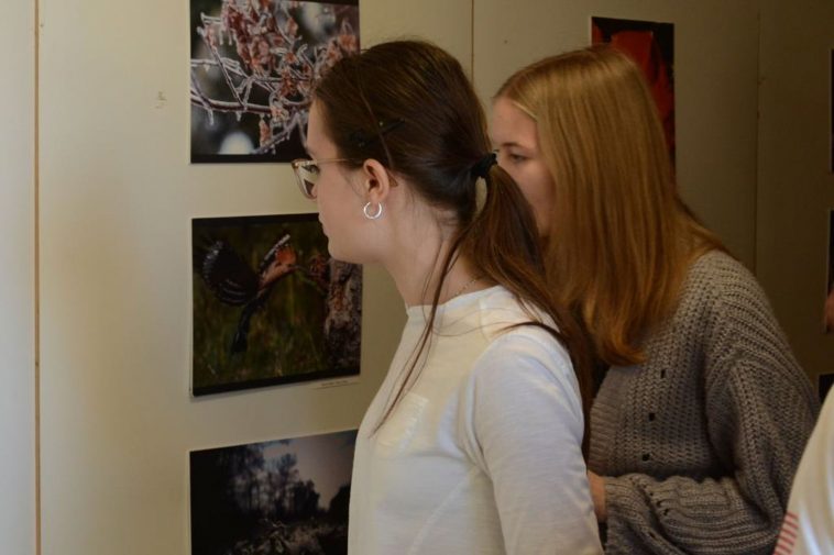 Kihirdették az idei Diós Kristóf Természetfotó Pályázat díjazottjait