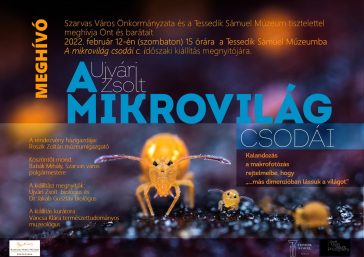 Ujvári Zsolt makrofotóiból összeállított kiállítás nyílik a Tessedik Sámuel Múzeumban február 12-én 15 órától