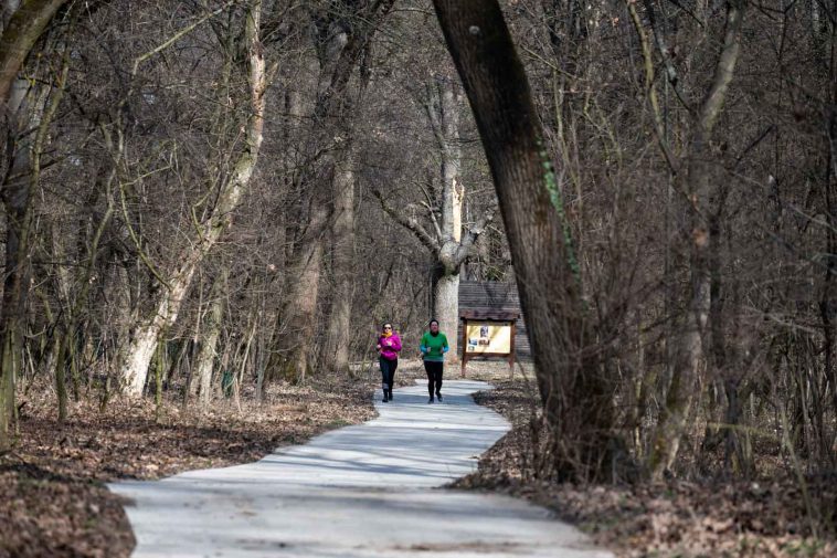 135 futó vett részt a Szarvasi Arborétumban vasárnap rendezett hangyafutáson