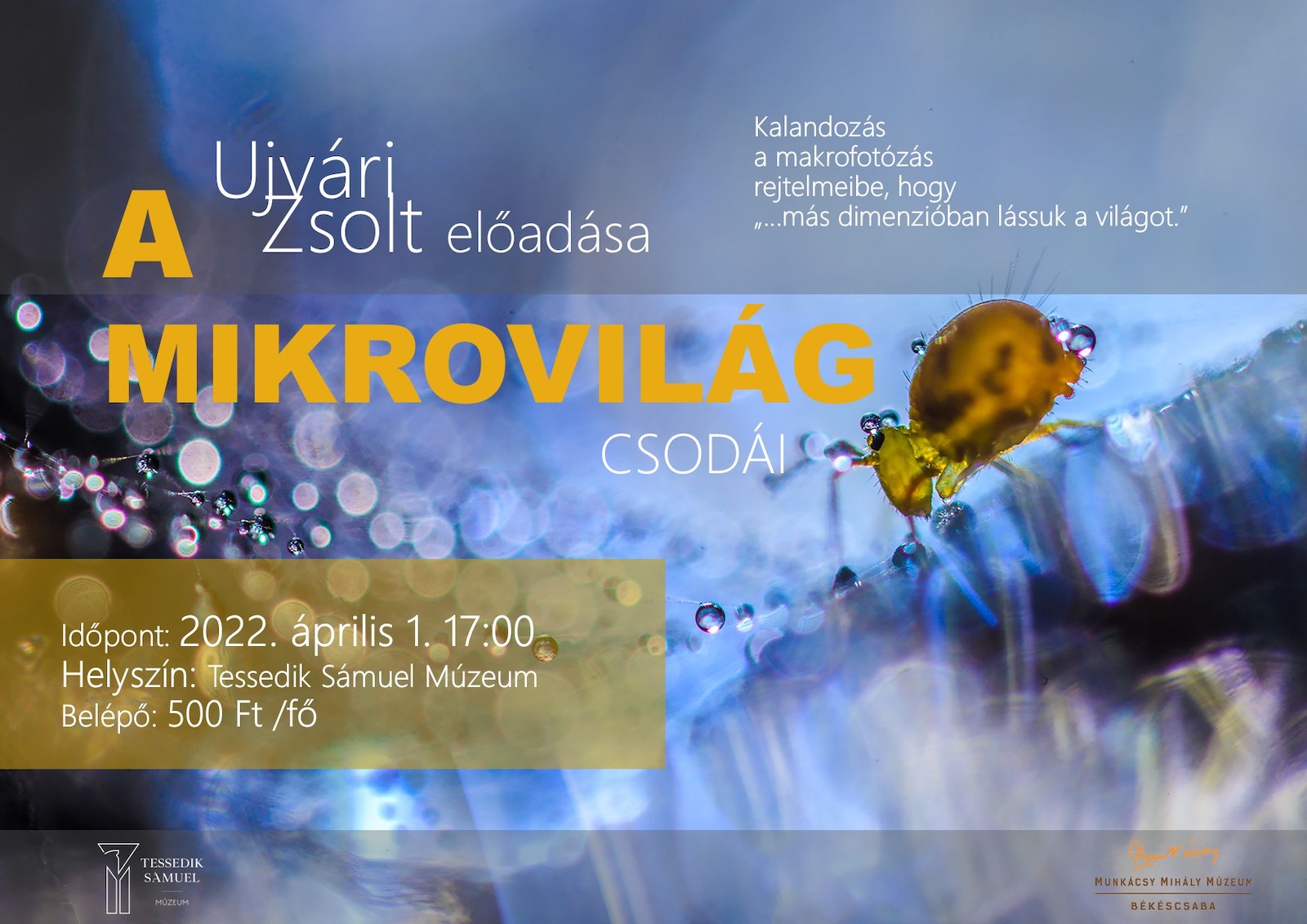 A mikrovilág csodái