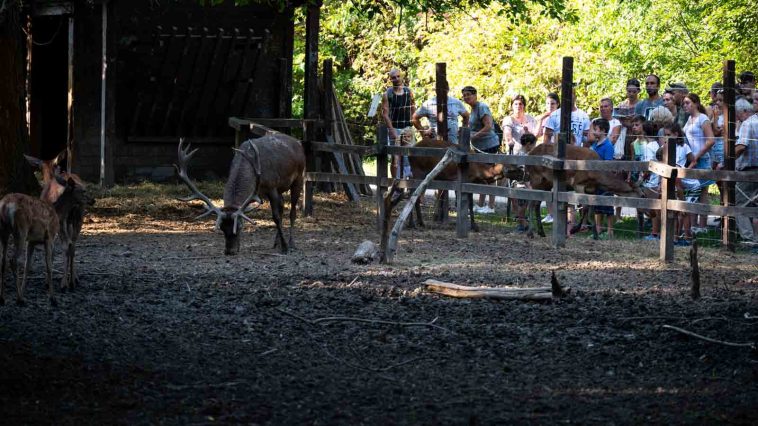 Az Állatkertek éjszakája a Körösvölgyi Állatparkban
